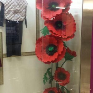 Квіти червоні маки