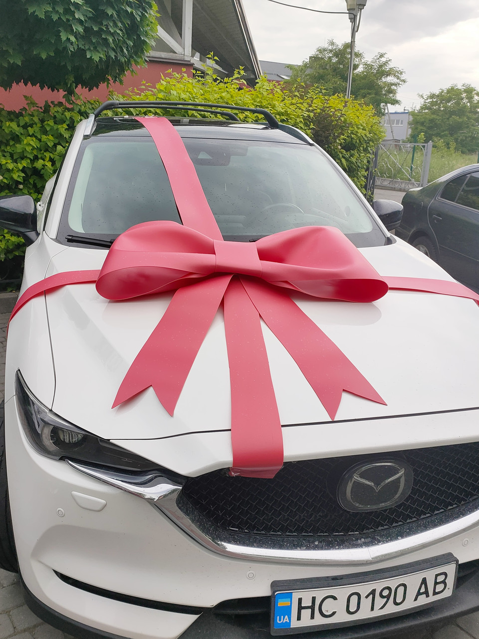 Бант для авто, бантик, автобант, бант на машину - Зображення 3