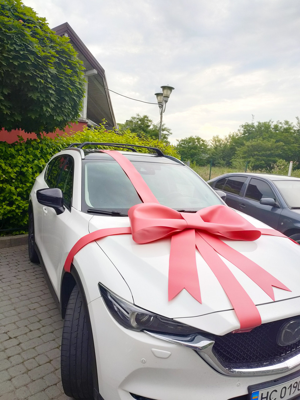 Бант для авто, бантик, автобант, бант на машину - Зображення 2