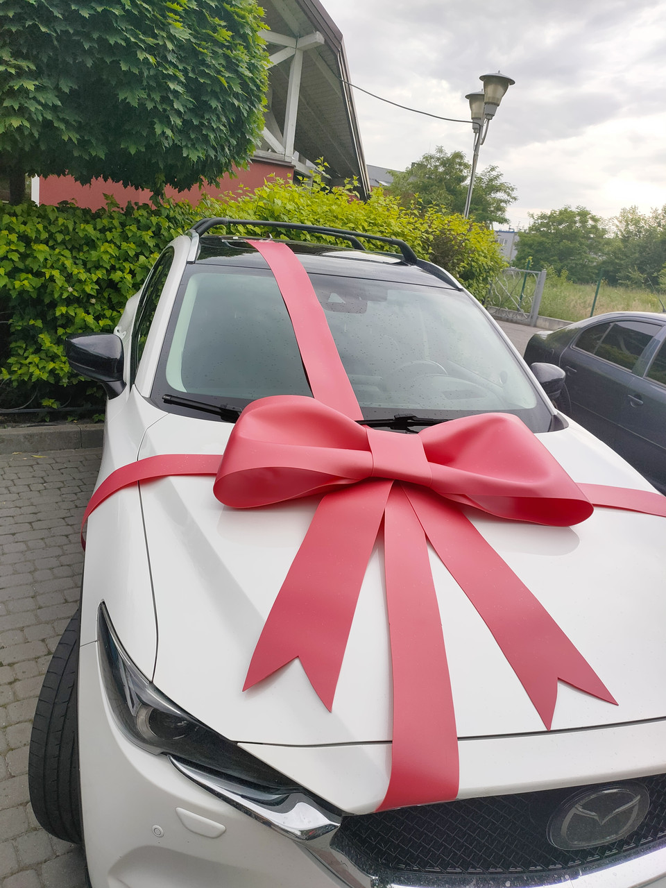 Бант для авто, бантик, автобант, бант на машину