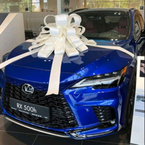 Великий бант, большой бант, бант, белый бант, большой бант, бант на машину, бант, бантик