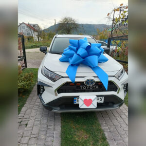 Гігантський синій бант на авто (90 см) — магнітний, вологостійкий