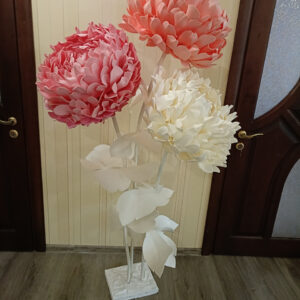 Квіти піони, ростові великі квіти, піони з ізолону