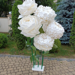 Квіти піони ростові, квіти великі