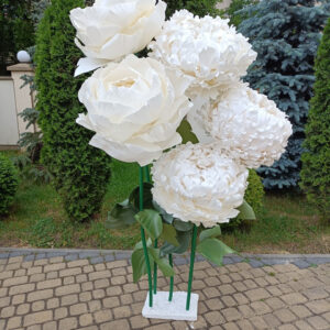 Квіти ростові, піони ростові