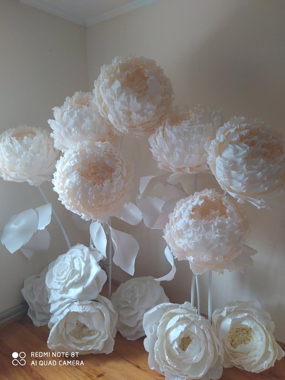 Квіти ростові, піони ростові - Зображення 2