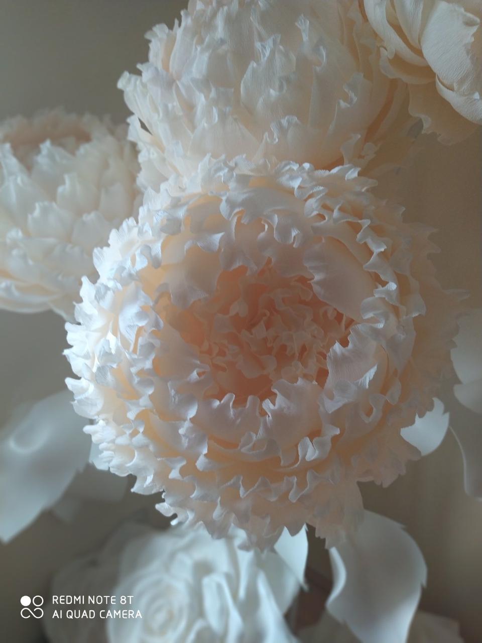 Квіти ростові, піони ростові - Зображення 5