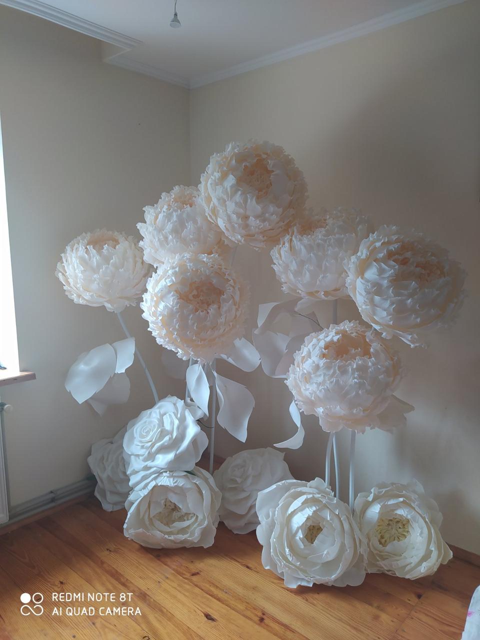 Квіти ростові, піони ростові - Зображення 6