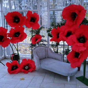 Маки, маки голови квітів, мак червоний