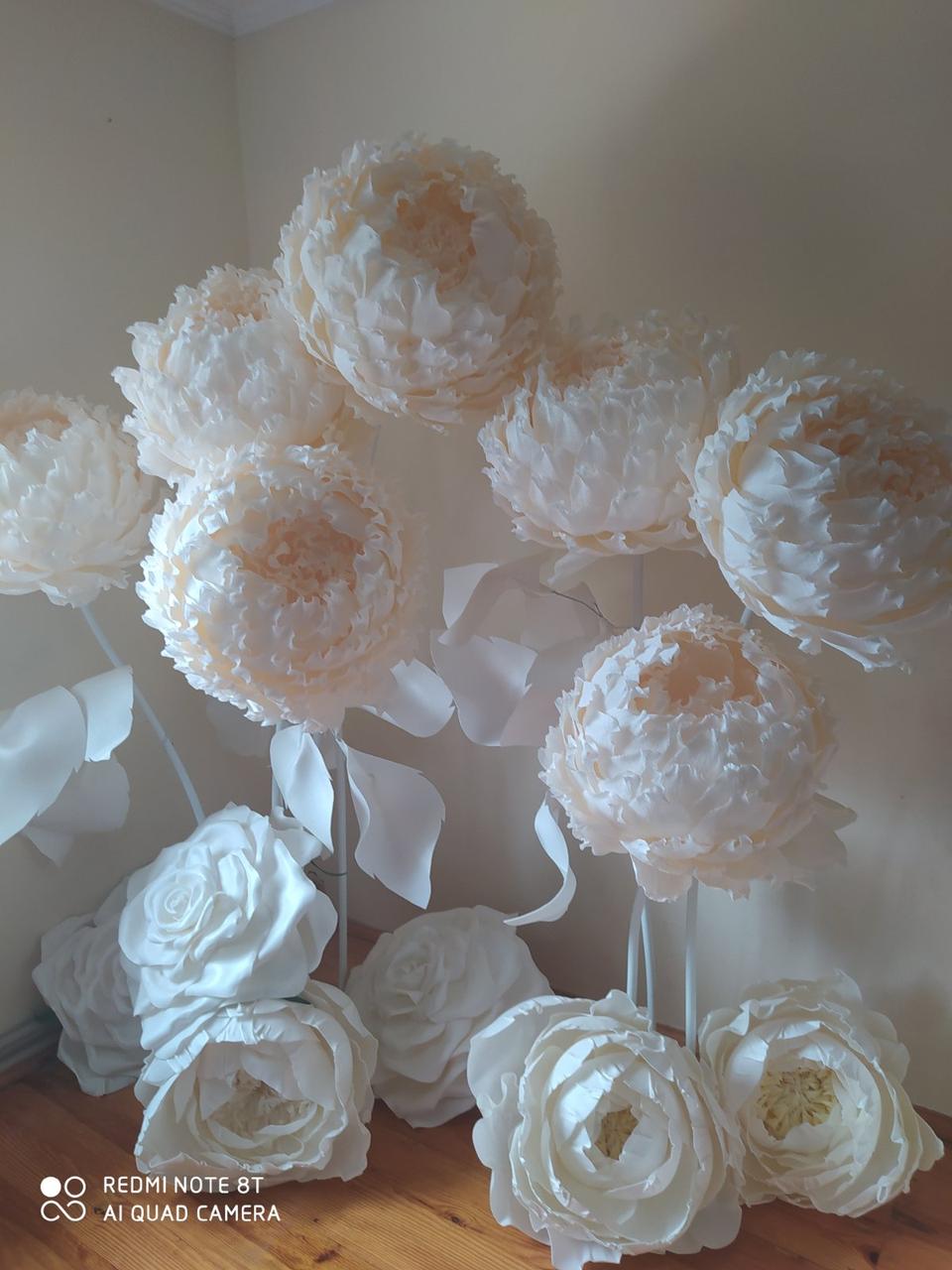 Квіти ростові, піони ростові - Зображення 3