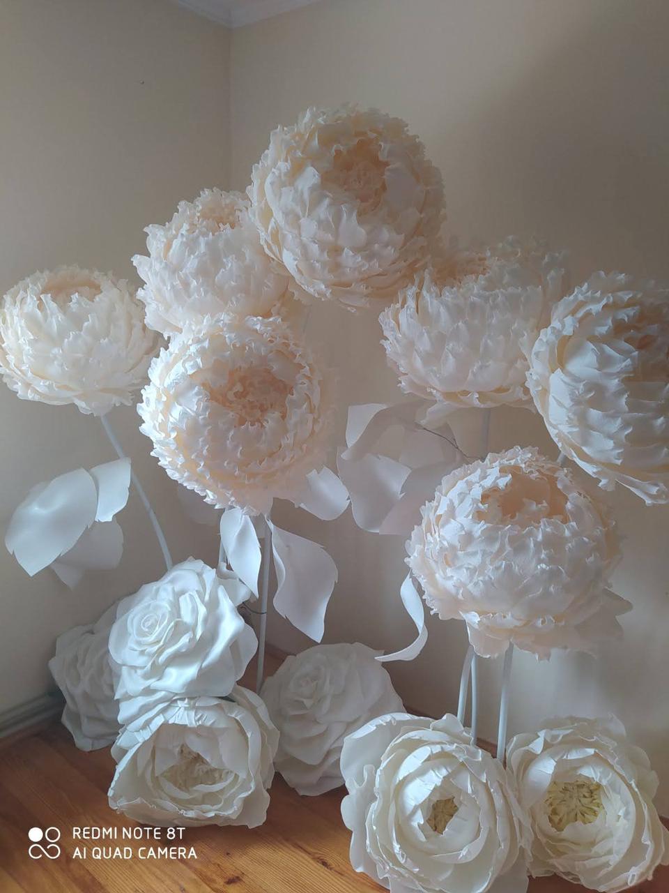 Квіти ростові, піони ростові - Зображення 4