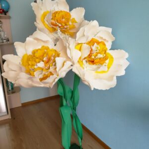 Квіти нарциси, квіти ростові