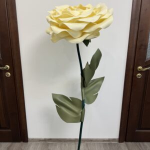 Велика ростова квітка троянда молочна (180 см)